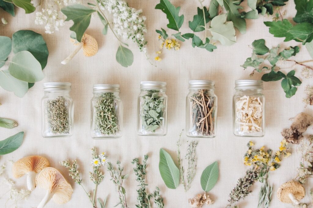 Assorted adaptogenic herbs and fungi arranged in glass jars for stress relief support.